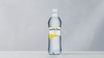 Ramlösa Citrus (0,5 l)